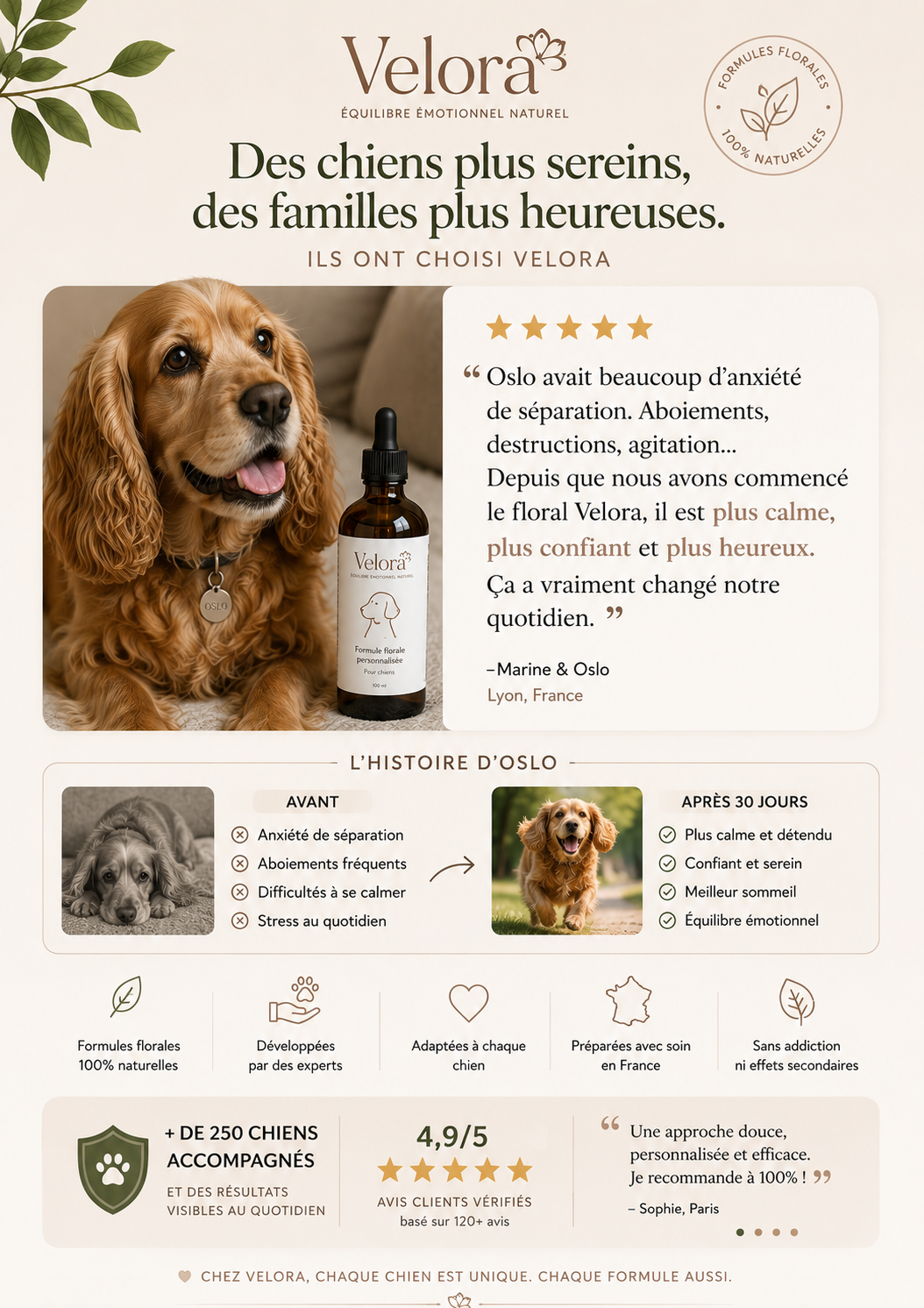 ChatGPT-Image-3-de-ago-de-2026-14-21-37.png